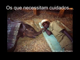 Os que necessitam cuidados… 