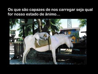 Os que são capazes de nos carregar seja qual for nosso estado de ânimo… 