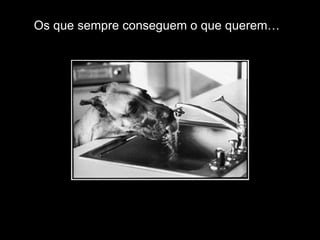 Os que sempre conseguem o que querem… 