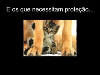 E os que necessitam proteção... 