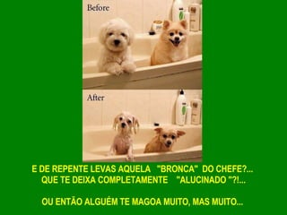 E DE REPENTE LEVAS AQUELA  "BRONCA" DO CHEFE?...   QUE TE DEIXA COMPLETAMENTE   "ALUCINADO "?!... OU ENTÃO ALGUÉM TE MAGOA MUITO, MAS MUITO...   