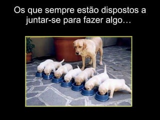 Os que sempre estão dispostos a juntar-se para fazer algo…  