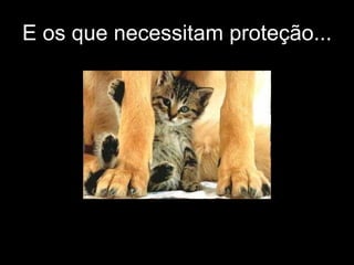 E os que necessitam proteção... 