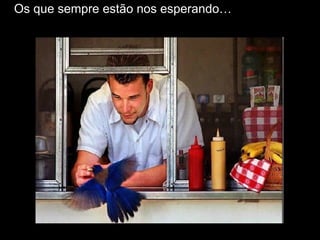 Os que sempre estão nos esperando… 