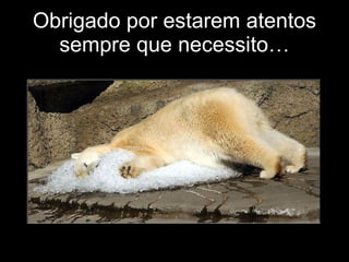 Obrigado por estarem atentos sempre que necessito… 