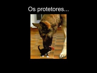 Os protetores... 