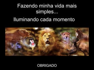 Fazendo minha vida mais simples... I  lluminando cada momento OBRIGADO 