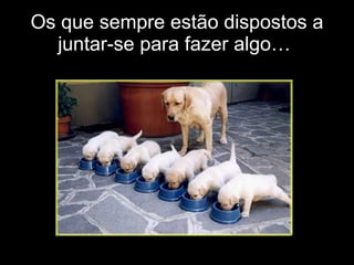 Os que sempre estão dispostos a juntar-se para fazer algo…  