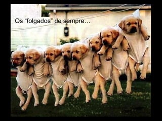 Os “folgados” de sempre… 