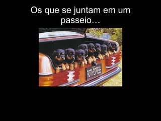 Os que se juntam em um passeio… 