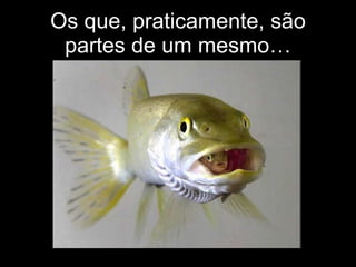 Os que, praticamente, são partes de um mesmo… 