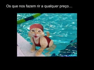 Os que nos fazem rir a qualquer preço… 