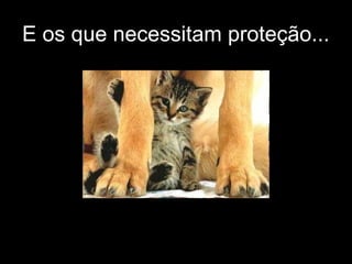 E os que necessitam proteção...
 