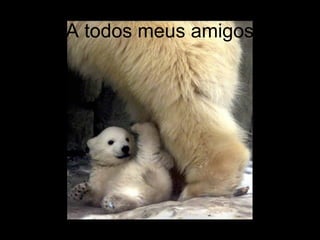 A todos meus amigos
 