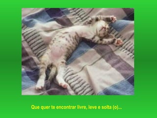 Que quer te encontrar livre, leve e solta (o)...
 
