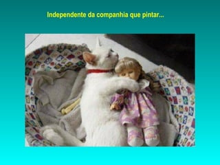 Independente da companhia que pintar...
 