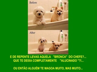 E DE REPENTE LEVAS AQUELA  "BRONCA" DO CHEFE?...
QUE TE DEIXA COMPLETAMENTE   "ALUCINADO "?!...
OU ENTÃO ALGUÉM TE MAGOA MUITO, MAS MUITO...
 