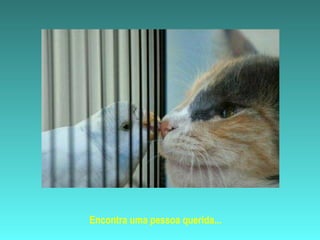 Encontra uma pessoa querida...
 