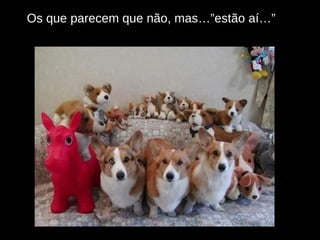 Os que parecem que não, mas…”estão aí…” 