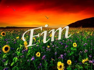 Fim www.jpsite.com.sapo.pt 