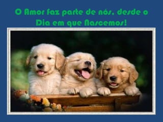 O Amor faz parte de nós, desde o
    Dia em que Nascemos!
 