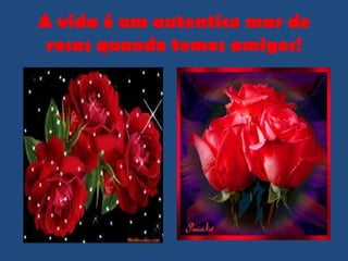 A vida é um autentico mar de
 rosas quando temos amigos!
 