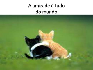 A amizade é tudo
   do mundo.
 