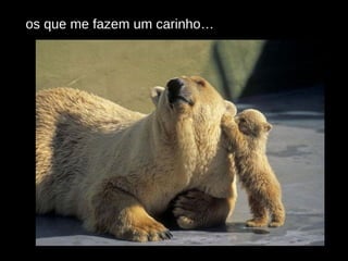 os que me fazem um carinho… 