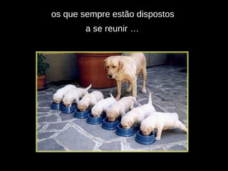os que sempre estão dispostos  a se reunir …   