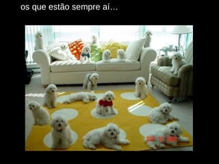os que estão sempre aí… 