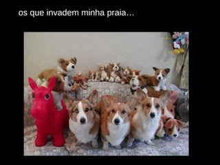 os que invadem minha praia… 