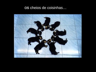os  cheios de coisinhas… 
