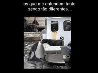 os que me entendem tanto  sendo tão diferentes… 