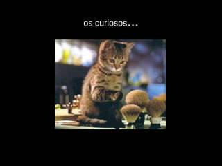 os curiosos ... 