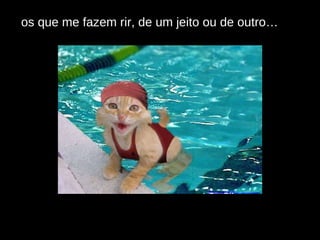 os que me fazem rir, de um jeito ou de outro… 