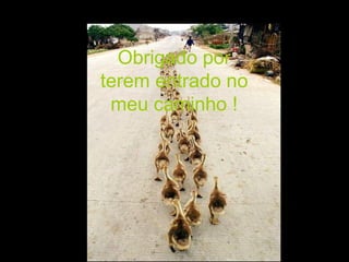 Obrigado por terem entrado no meu caminho ! 