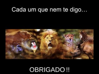 Cada um que nem te digo… OBRIGADO   !! 