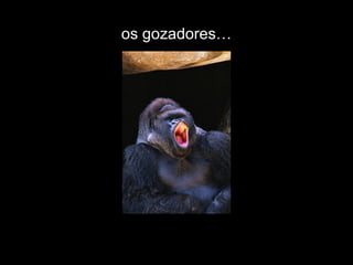 os gozadores… 