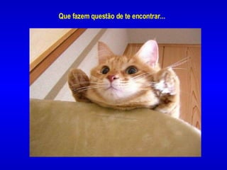 Que fazem questão de te encontrar...   