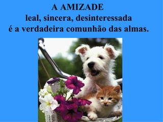 A AMIZADE  leal, sincera, desinteressada é a verdadeira comunhão das almas. 