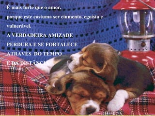 É mais forte que o amor, porque este costuma ser ciumento, egoísta e  vulnerável. A VERDADEIRA AMIZADE  PERDURA E SE FORTALECE ATRAVÉS  DO TEMPO  E DA DISTÂNCIA. 