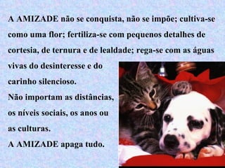 A AMIZADE não se conquista, não se impõe; cultiva-se  como uma flor; fertiliza-se com pequenos detalhes de cortesia, de ternura e de lealdade; rega-se com as águas vivas do desinteresse e do carinho silencioso. Não importam as distâncias, os níveis sociais, os anos ou  as culturas. A AMIZADE apaga tudo. 