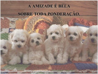 A AMIZADE É BELA SOBRE TODA PONDERAÇÃO. 