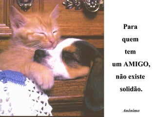 Para  quem  tem  um AMIGO, não existe  solidão. Anônimo 