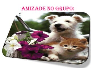 AMIZADE NO GRUPO:
 