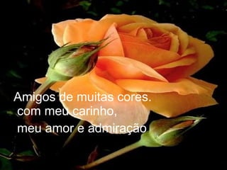 Amigos de muitas cores.   com meu carinho, meu amor e admiração 