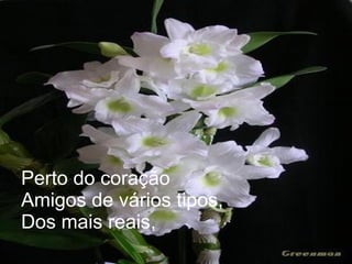 Perto do coração Amigos de vários tipos, Dos mais reais, 