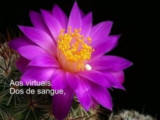 Aos virtuais. Dos de sangue, 