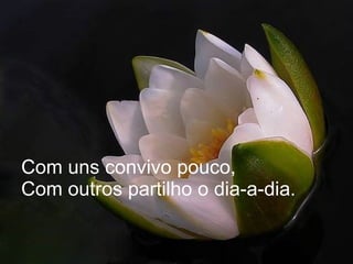 Com uns convivo pouco, Com outros partilho o dia-a-dia. 