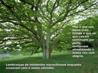 Lembranças de momentos maravilhosos enquanto cruzavam com o nosso caminho. Mas o que nos deixa mais felizes é que as que caíram continuam por perto, continuam alimentando a nossa raiz com alegria.  